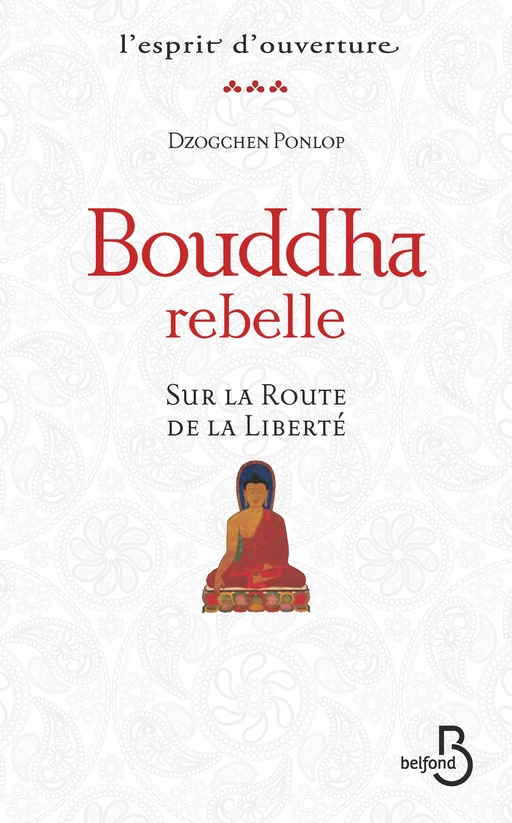 Bouddha rebelle - Rimpoché Dzogchen Ponlop - Place des éditeurs