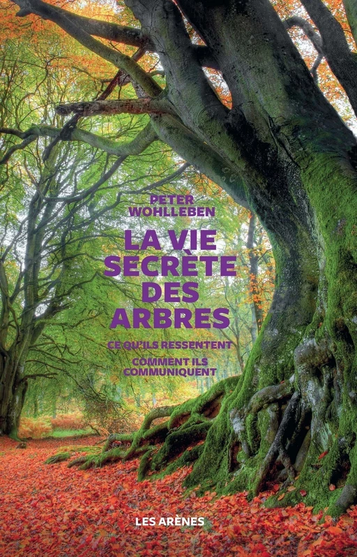 La vie secrète des arbres - Peter Wohlleben - Groupe Margot