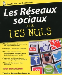 Les réseaux sociaux pour les Nuls