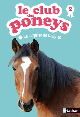 Le club des poneys - Tome 2