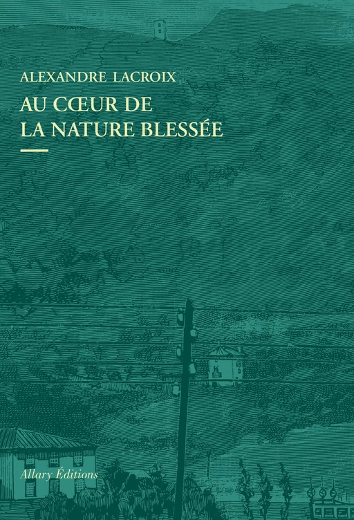 Au coeur de la nature blessée - Apprendre à voir les paysages du XXIe siècle - Alexandre Lacroix - Allary éditions