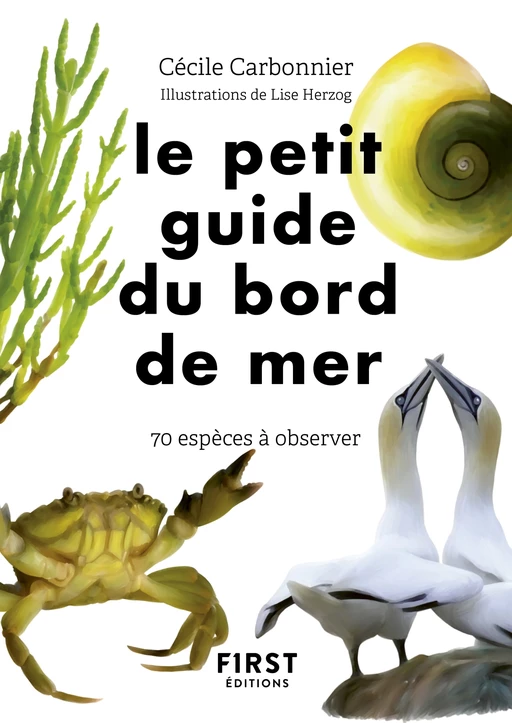 Petit Guide d'observation du bord de mer - Cécile Carbonnier - edi8