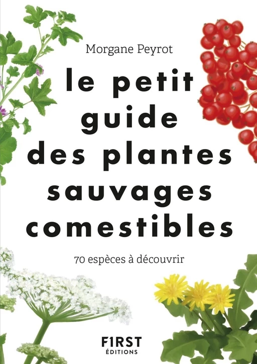 Le Petit guide des plantes comestibles - 70 espèces à découvrir - Morgane Peyrot - edi8