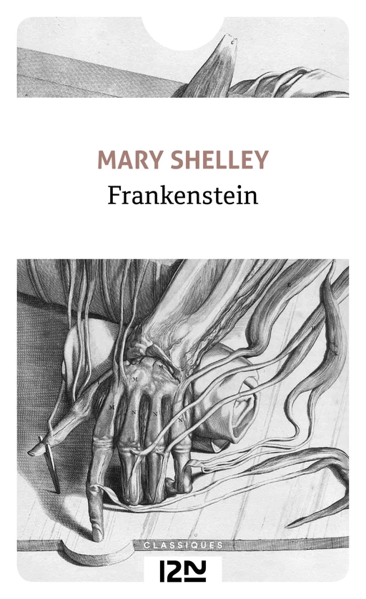 Frankenstein - Mary Shelley - Univers Poche