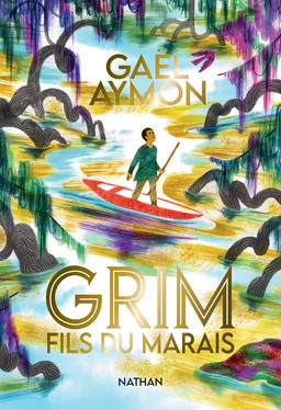 Grim, fils du marais - Roman dès 12 ans