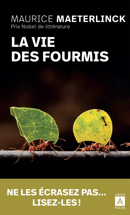 La vie des fourmis - Maurice Maeterlinck - L'Archipel