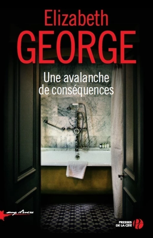 Une avalanche de conséquences - Elizabeth George - Place des éditeurs