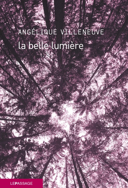 La belle lumière - Angélique Villeneuve - Le passage