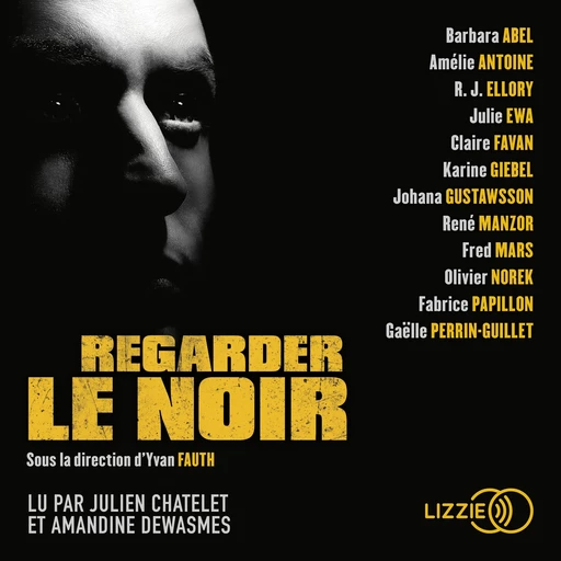 Regarder le noir -  Collectif - Univers Poche