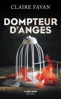 Dompteur d'anges