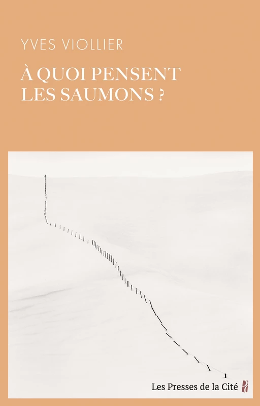 A quoi pensent les saumons ? - Yves Viollier - Place des éditeurs