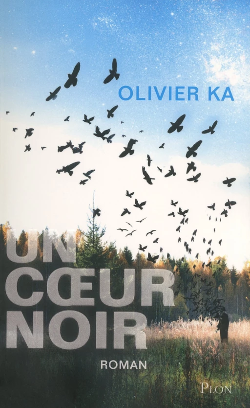 Un coeur noir - Olivier Ka - Place des éditeurs