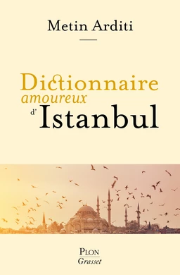 Dictionnaire amoureux d'Istanbul