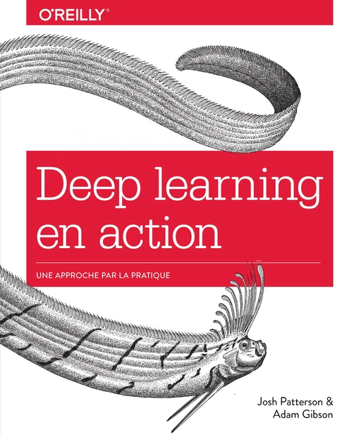 Deep learning en action - Une approche par la pratique - collection O'Reilly - Josh Patterson, Adam Gibson - edi8