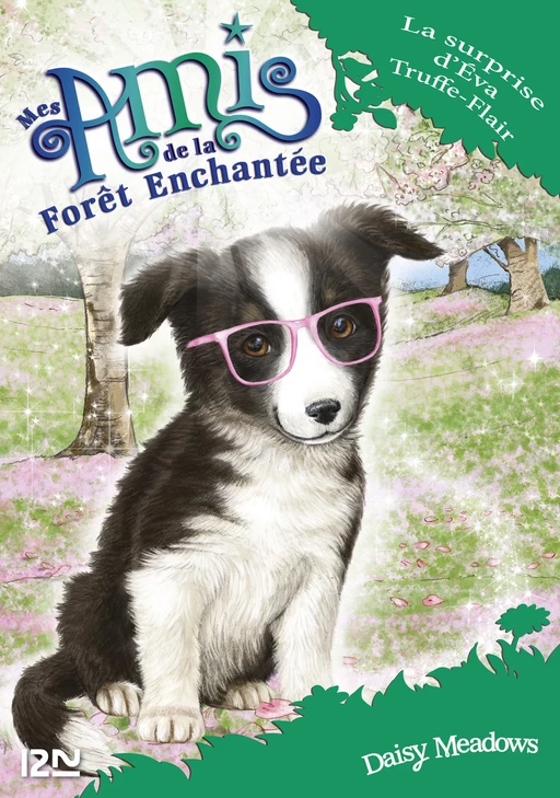 Mes amis de la forêt enchantée - tome 10 : La surprise d'Eva Truffe-Flair - Daisy Meadows - Univers Poche