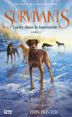 Survivants - tome 6 : Lucky dans la tourmente