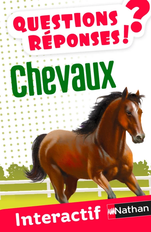 Chevaux - Questions/Réponses - Alexandra Frappier - Nathan