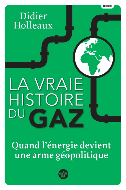 La vraie histoire du gaz - Didier Holleaux - Cherche Midi