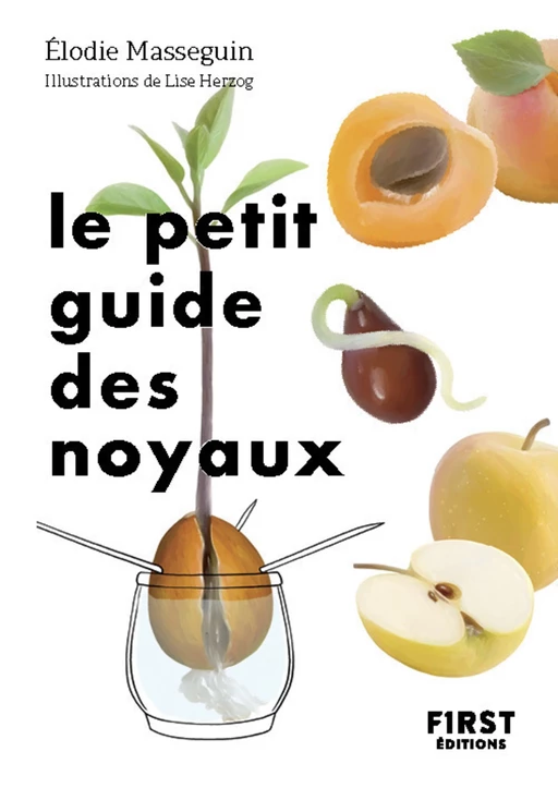 Le Petit Guide des noyaux - Élodie Masseguin - edi8