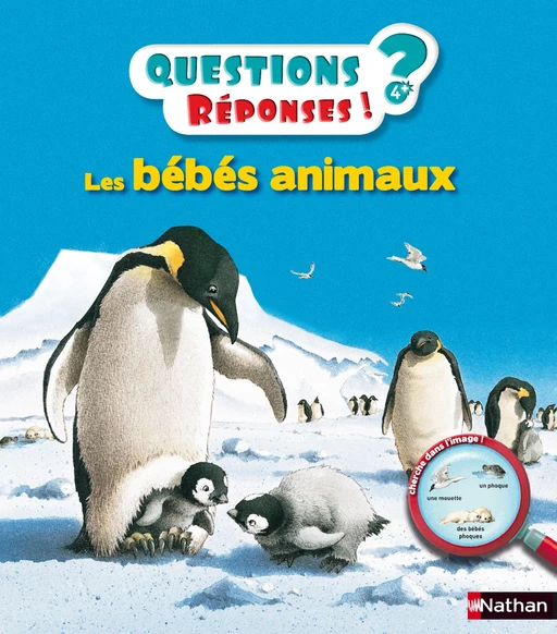 Les bébés animaux - Questions/Réponses - doc dès 5 ans - Virginie Aladjidi - Nathan