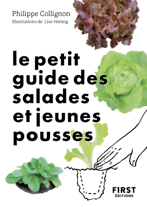 Le Petit Guide jardin des salades et jeunes pousses - Philippe Collignon - edi8