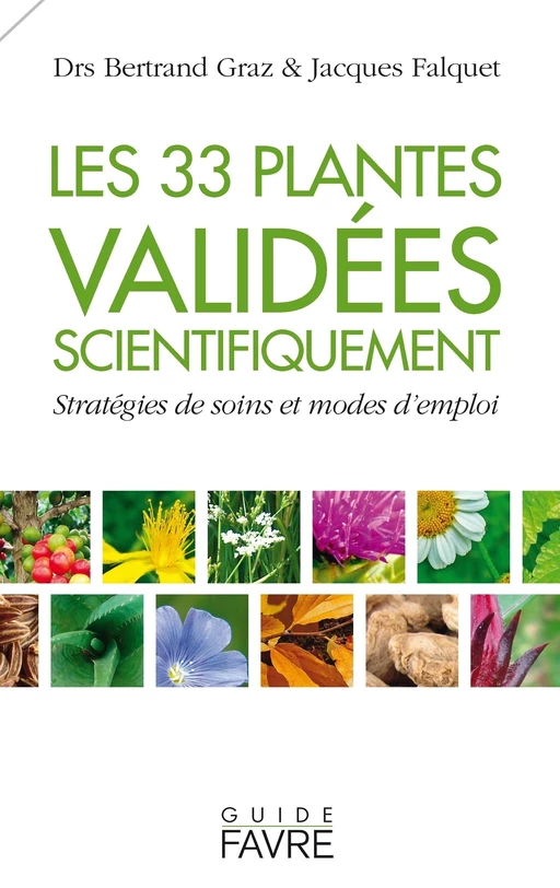 33 plantes validées scientifiquement - Stratégies de soins et modes d'emploi - Bertrand Graz, Jacques Falquet - Groupe Libella