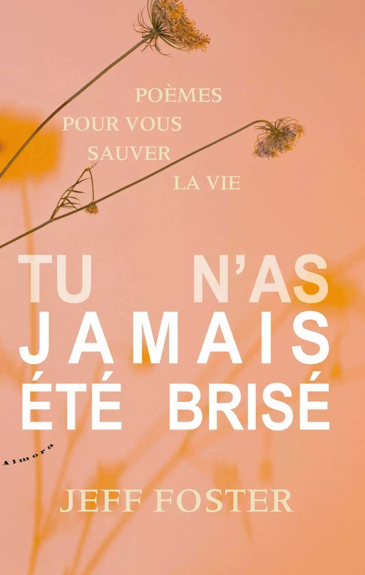 Tu n'as jamais été brisé - Jeff Foster - Dervy