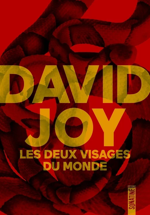 Les Deux Visages du monde - rentrée littéraire 2024 - David Joy - Sonatine