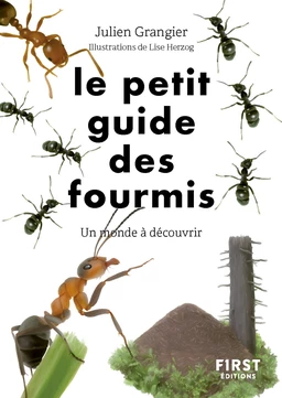 Le Petit guide des fourmis