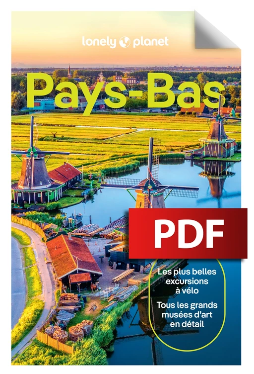 Pays-Bas 5ed -  LONELY PLANET - edi8