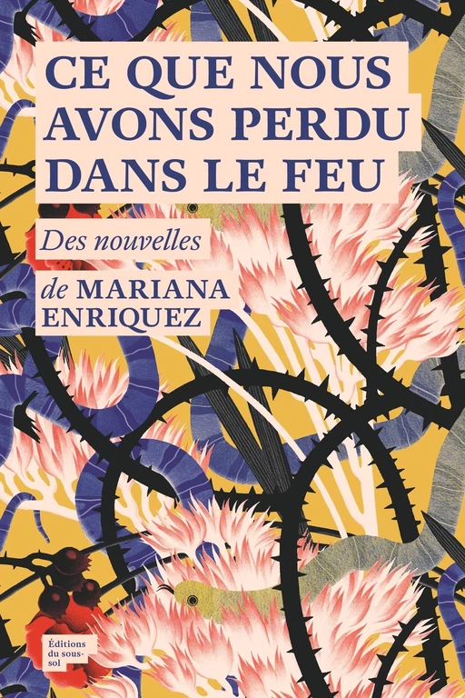 Ce que nous avons perdu dans le feu - Mariana Enriquez - Editions du sous-sol