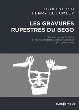 Les gravures rupestres du Bego - Recherches sur le statut et les interprétations des pétroglyphes pr