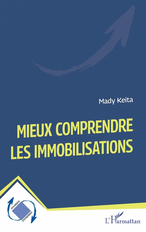 Mieux comprendre les immobilisations - Mady Keita - Editions L'Harmattan