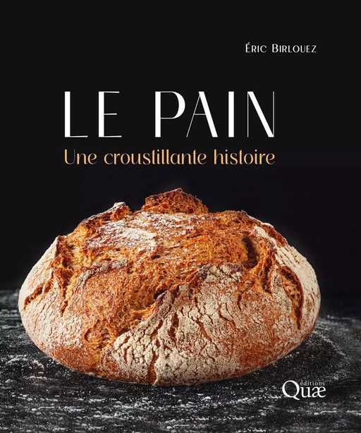 Le pain - Éric Birlouez - Quæ