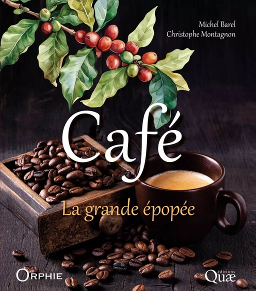 Café - Michel Barel, Christophe Montagnon - Quæ