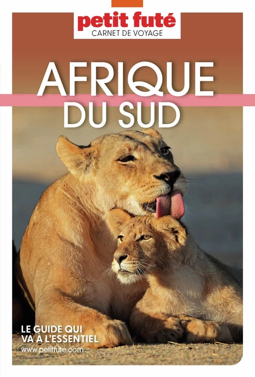 AFRIQUE DU SUD 2025 Carnet Petit Futé - Dominique Auzias, Jean-Paul Labourdette - Petit Futé