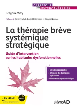 La thérapie brève systémique stratégique