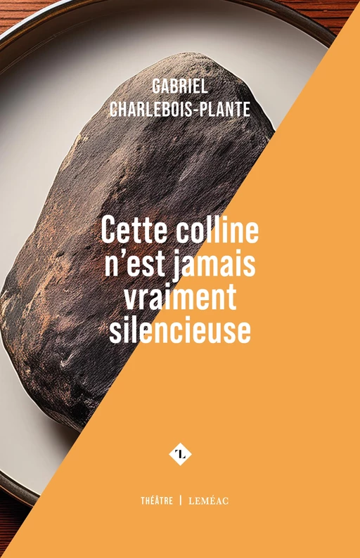 Cette colline n'est jamais vraiment silencieuse - Gabriel Charlebois-Plante - Leméac Éditeur