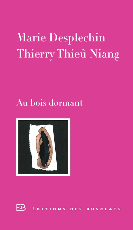 Au bois dormant - Thierry Thieû Niang, Marie Desplechin - Editions Gallimard