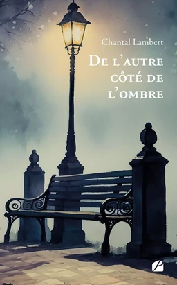 De l’autre côté de l’ombre