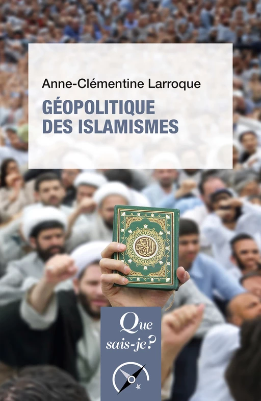 Géopolitique des islamismes - Anne-Clémentine Larroque - Humensis