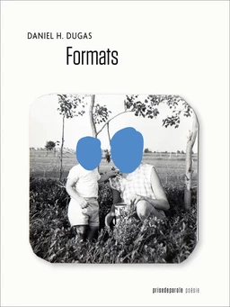 Formats