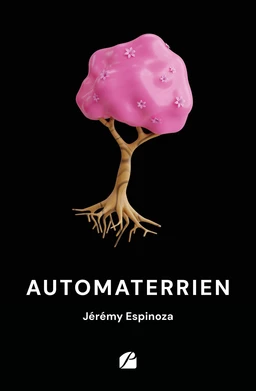 Automaterrien