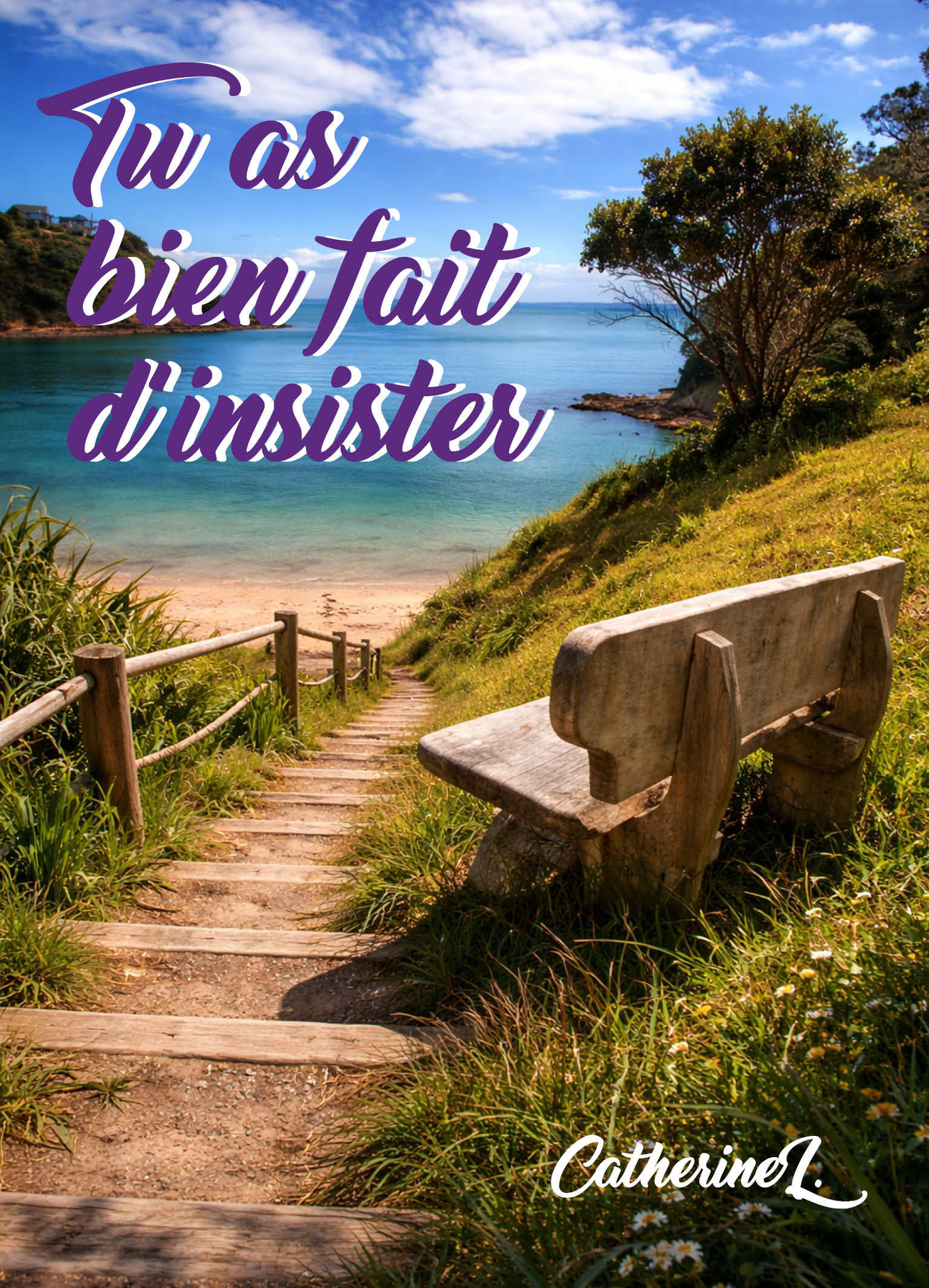 Tu as bien fait d'insister - - CatherineL. (EAN13 : 9791043900754 ...